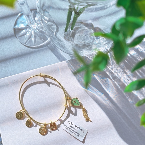 NWT ALEX AND ANI INSPIRATION IN FLIGHT GOLD BRACELET - Picture 3 of 3
